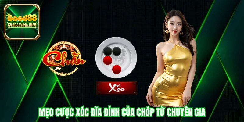 Mẹo cược xóc đĩa đỉnh của chóp từ chuyên gia